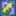 Patate spatiale