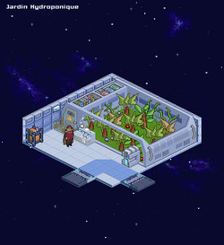 Room-Jardin.png